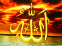 /album/%d9%85%d8%b9%d8%b1%d8%b6%20%d8%a7%d9%84%d8%b5%d9%88%d8%b1/a1111111-319-jpg/